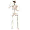 5.4Ft Movable Joints Plastic Skeleton Q269496