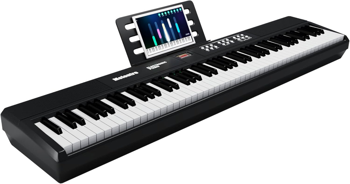 88-Key Digital Piano P6586