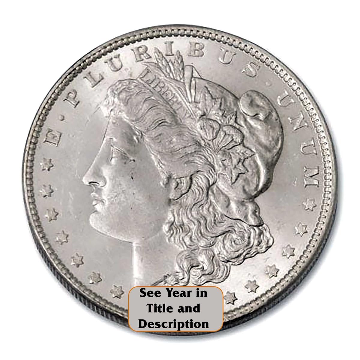 Morgan Silver Dollar R2260