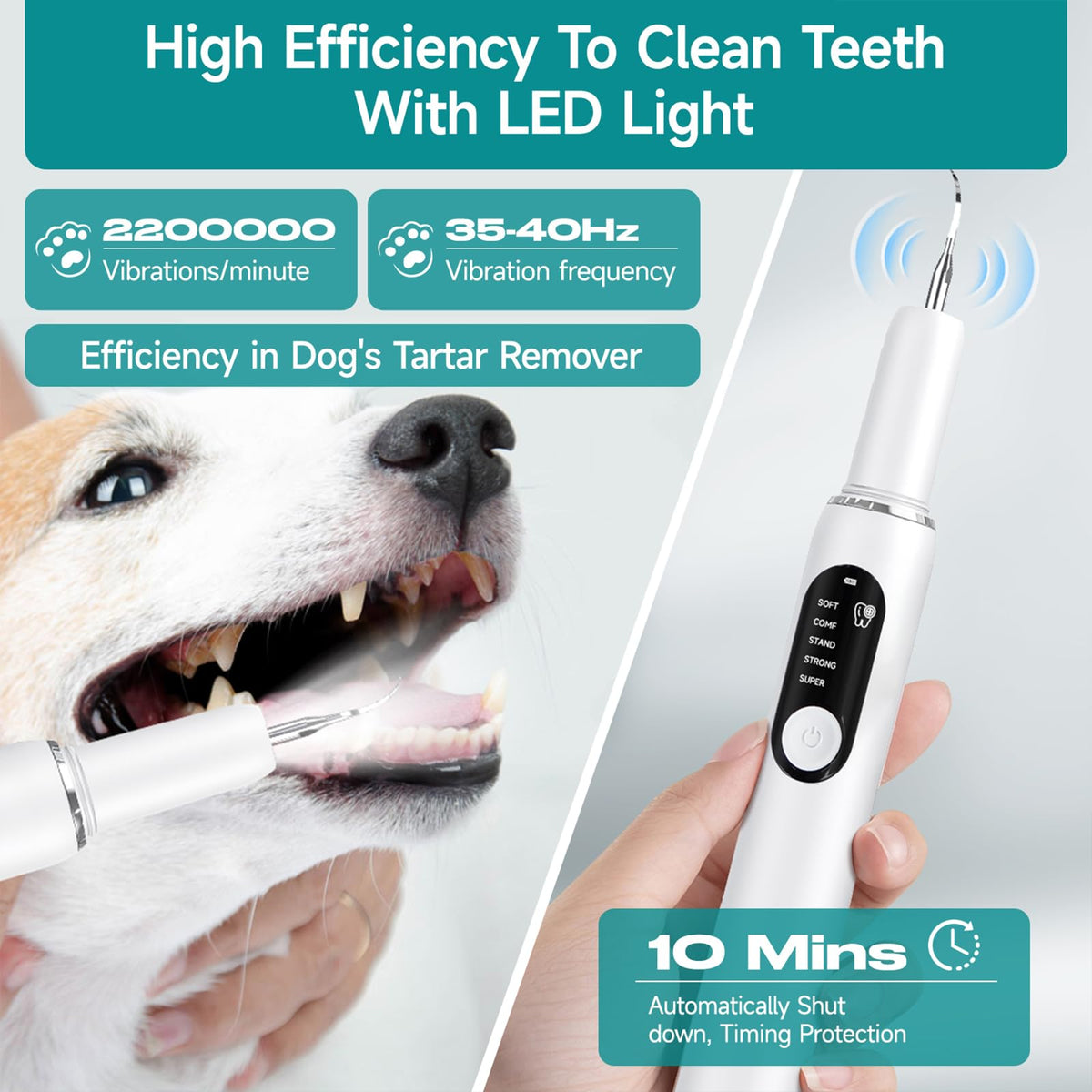 White Dog Teeth Cleaning Kit with LED Light T70793