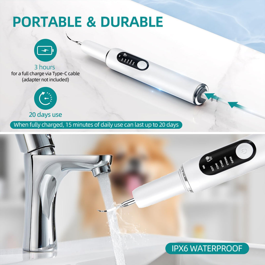White Dog Teeth Cleaning Kit with LED Light T70793