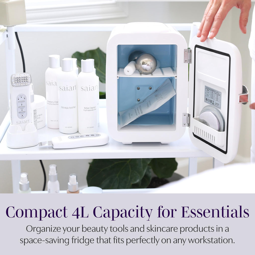 Compact 4L Portable Mini Fridge I67662
