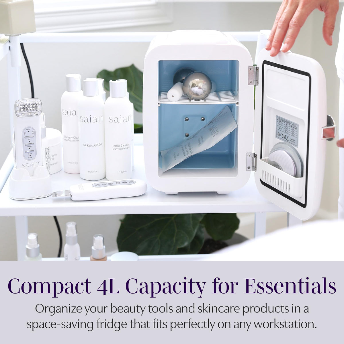 Compact 4L Portable Mini Fridge I67662