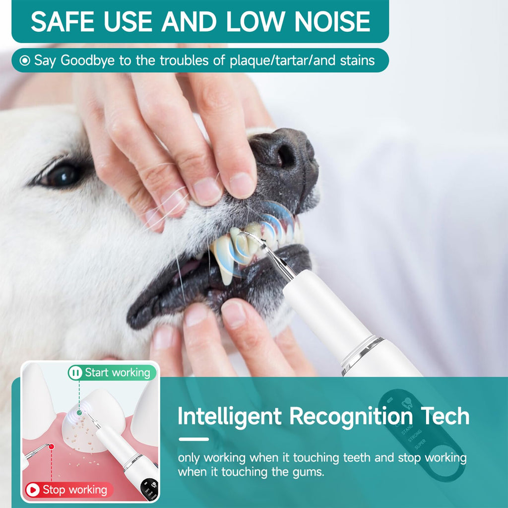 White Dog Teeth Cleaning Kit with LED Light T70793
