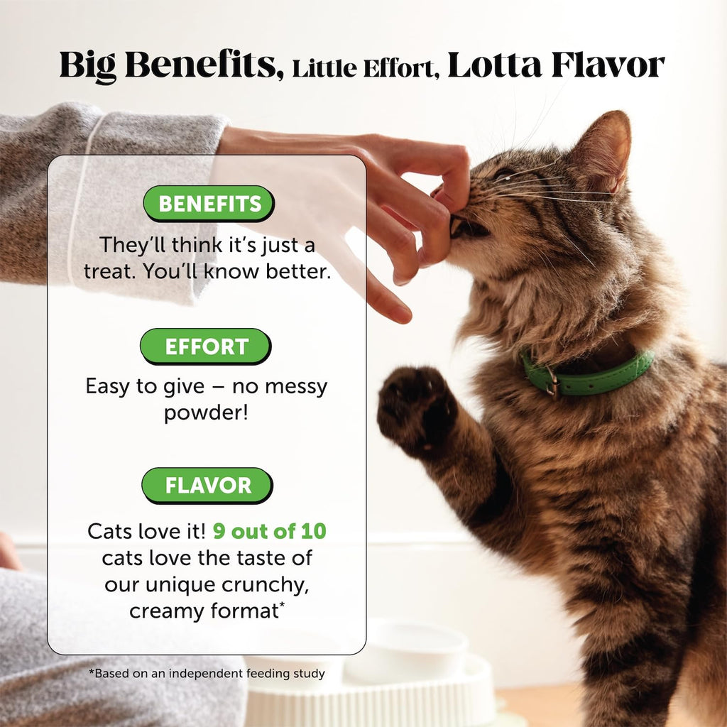 Chicken Cat Hairball Remedy Chews Y86206