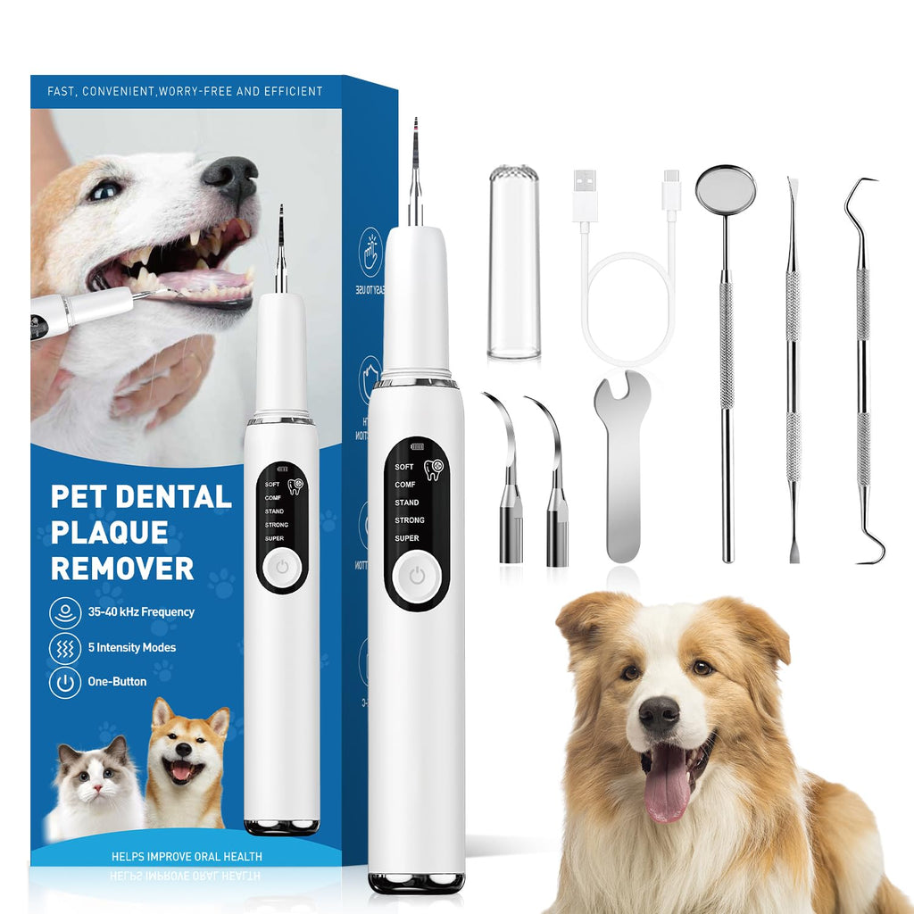 White Dog Teeth Cleaning Kit with LED Light T70793