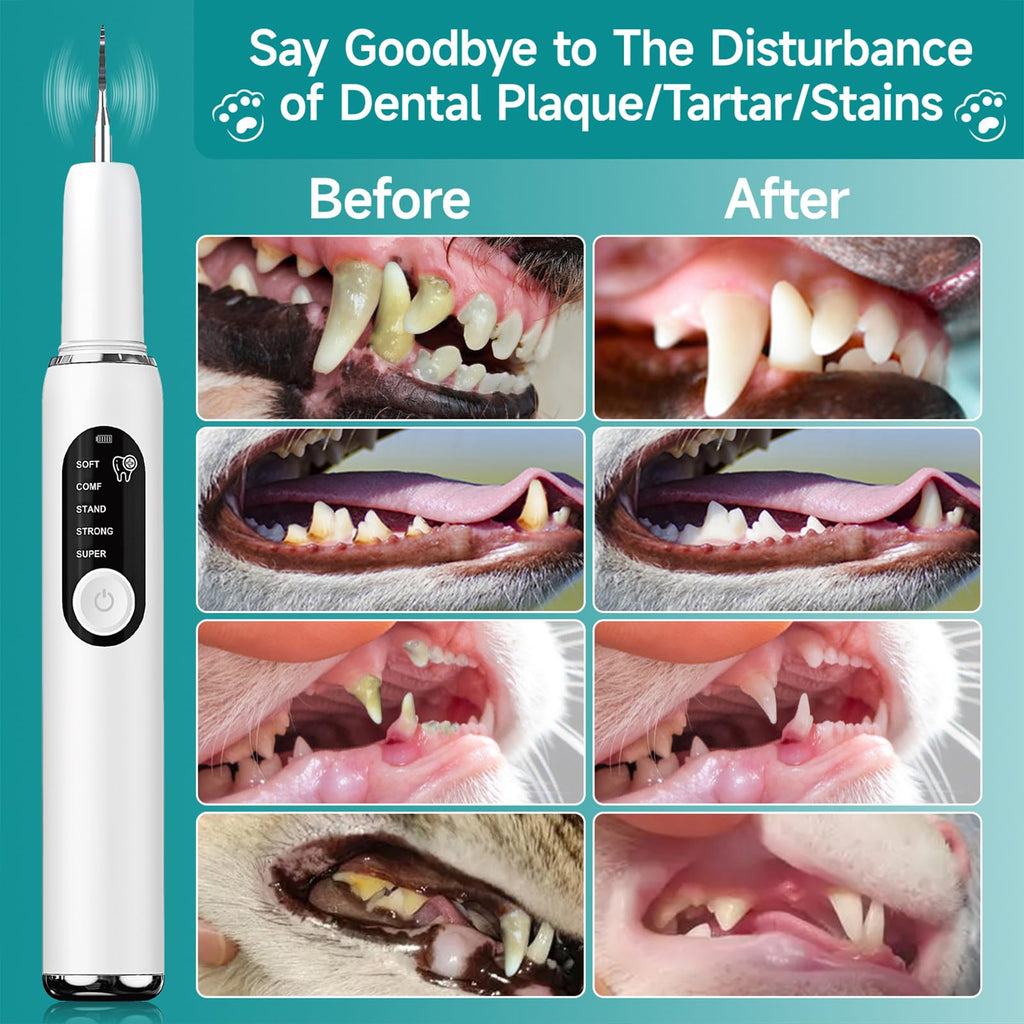 White Dog Teeth Cleaning Kit with LED Light T70793