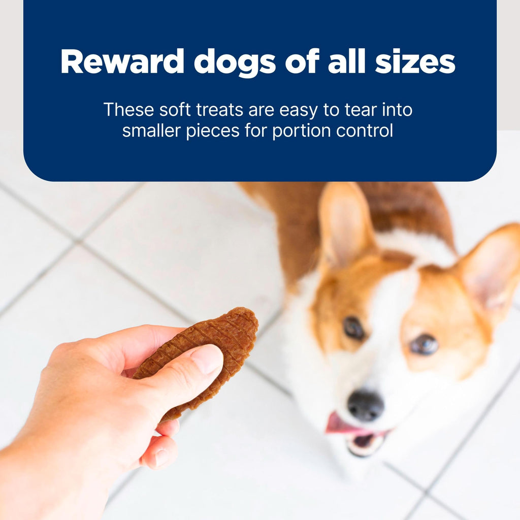 Chicken Dog Treats 16 oz R426