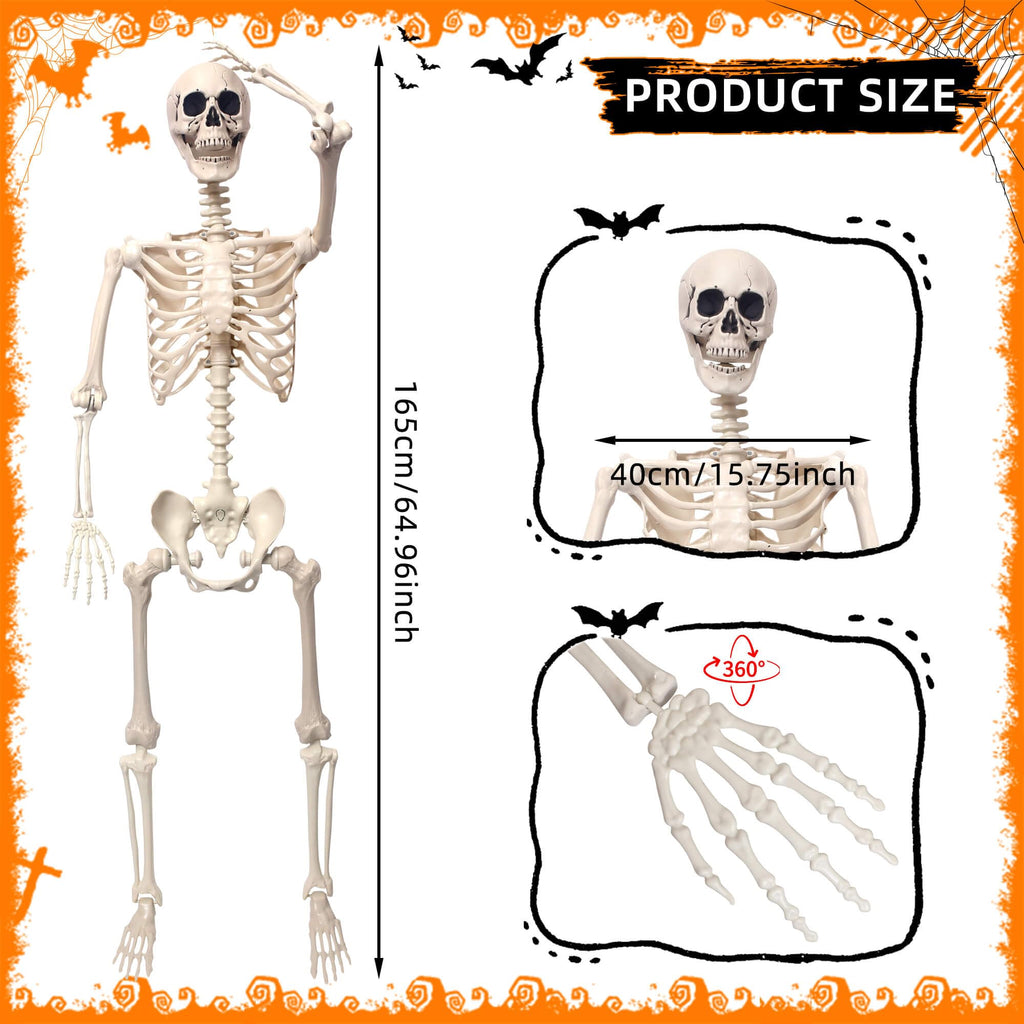 5.4Ft Movable Joints Plastic Skeleton Q269496