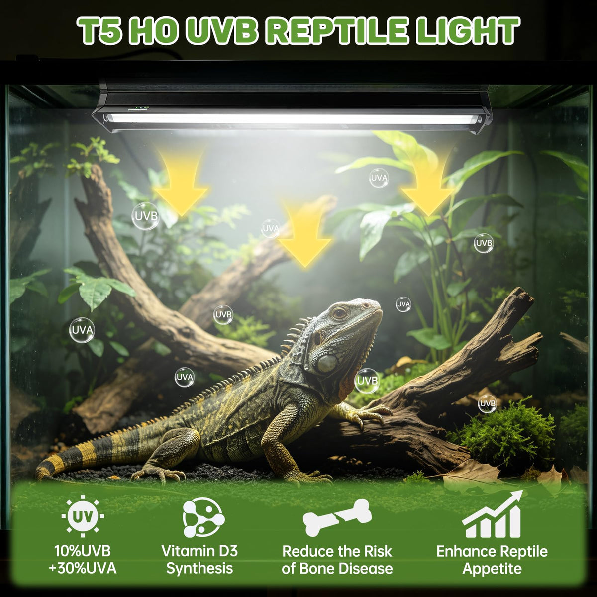 8W 10.0 UVA UVB Reptile Light Fixture X484