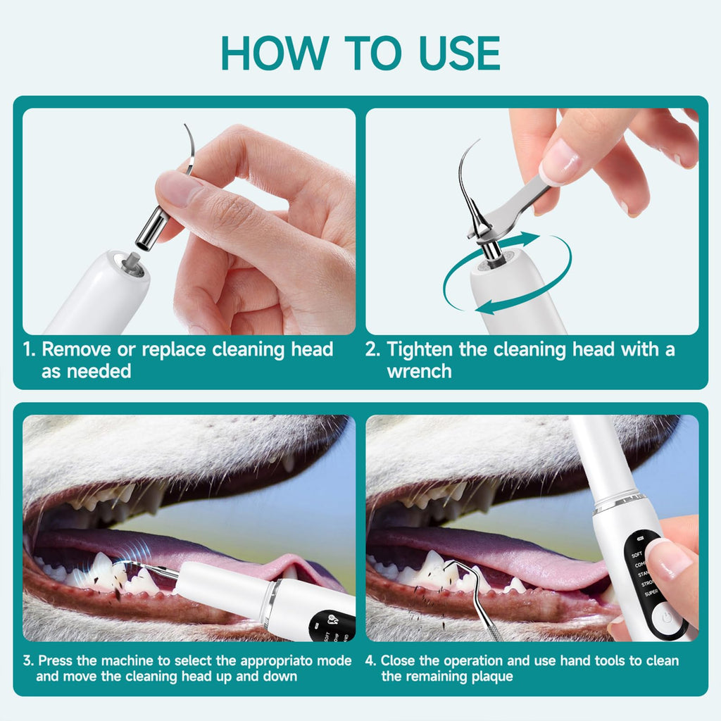 White Dog Teeth Cleaning Kit with LED Light T70793