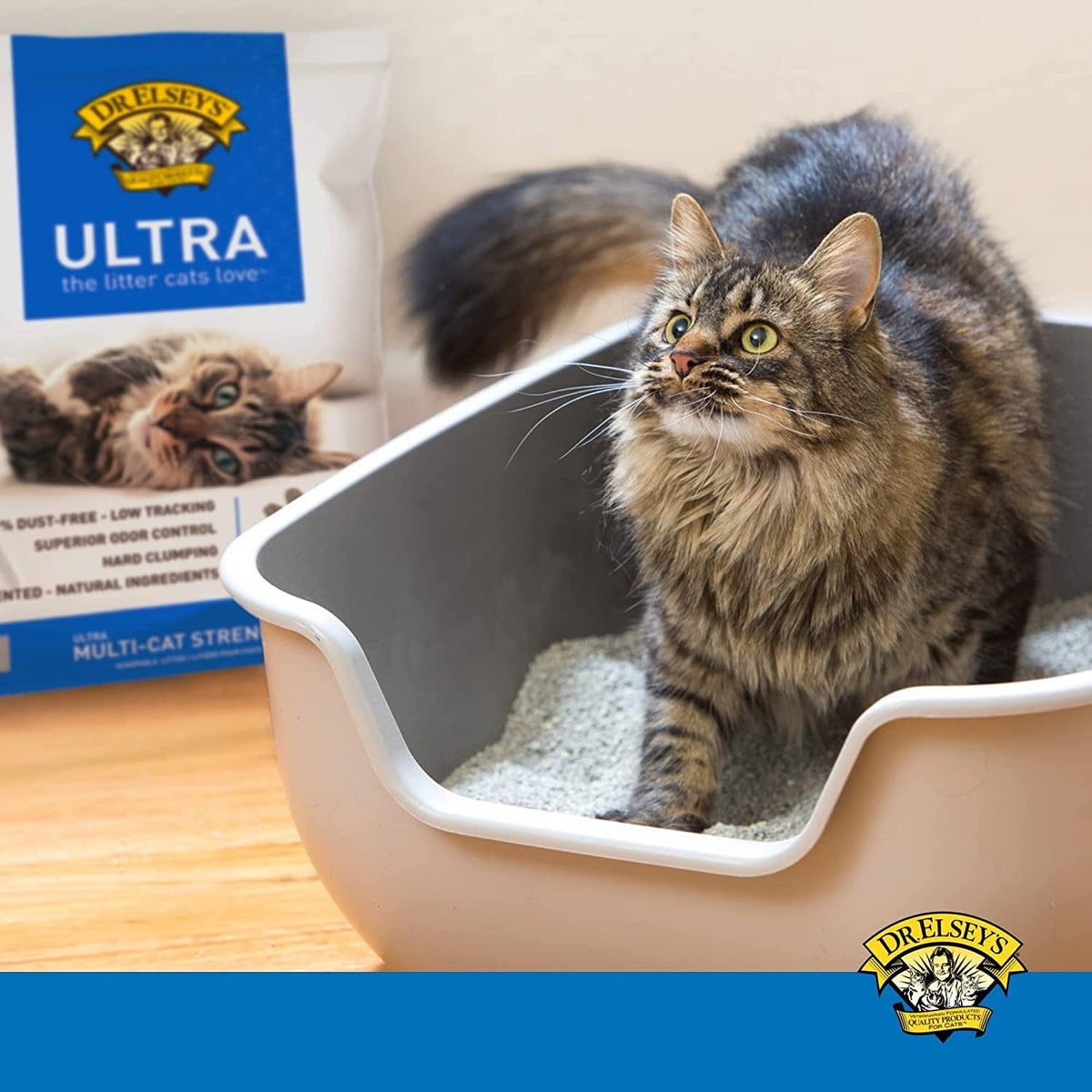 Clumping Clay Cat Litter 40 lb. Bag T892230