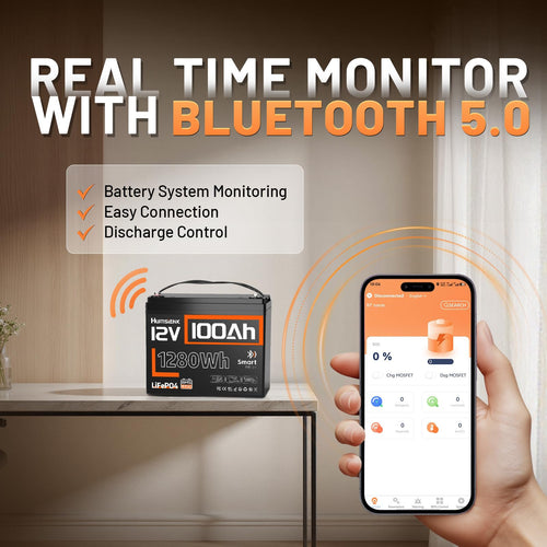 12V 100Ah LiFePO4 Lithium Battery with Bluetooth R589943