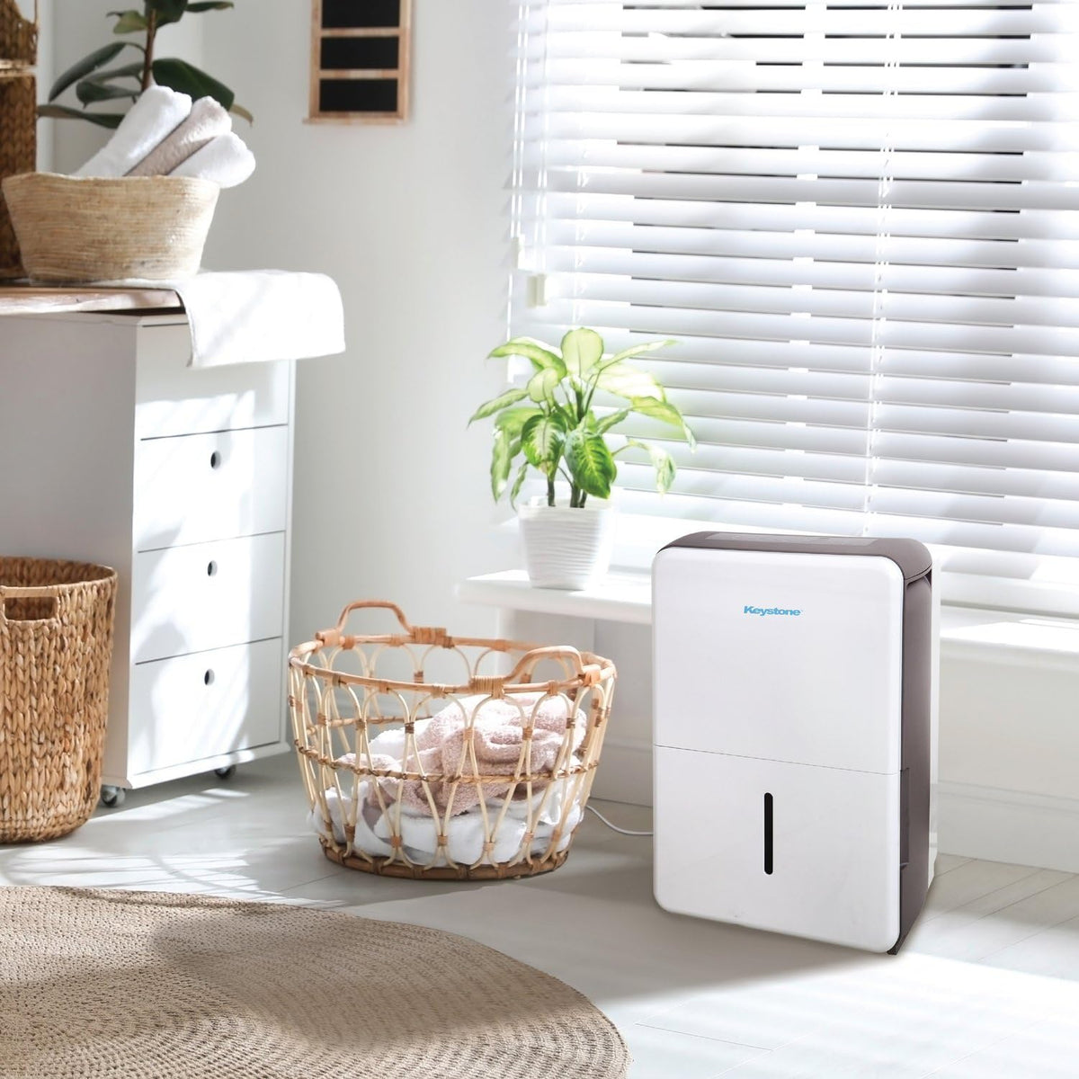 50-Pint Portable Dehumidifier with Auto-Shutoff and Timer B18035