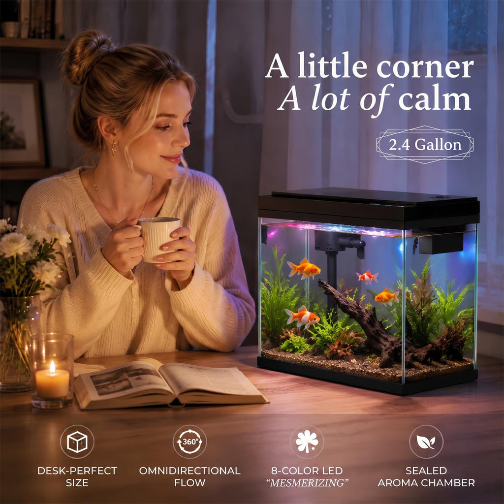 2.4 Gallon Desktop Betta Fish Tank Starter Kit V9861