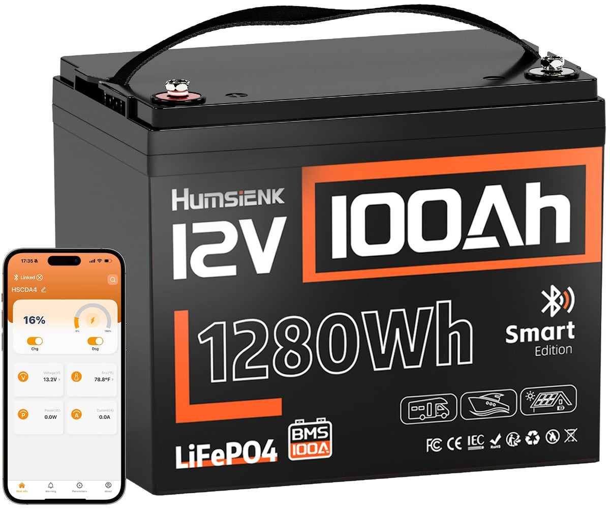 12V 100Ah LiFePO4 Lithium Battery with Bluetooth R589943
