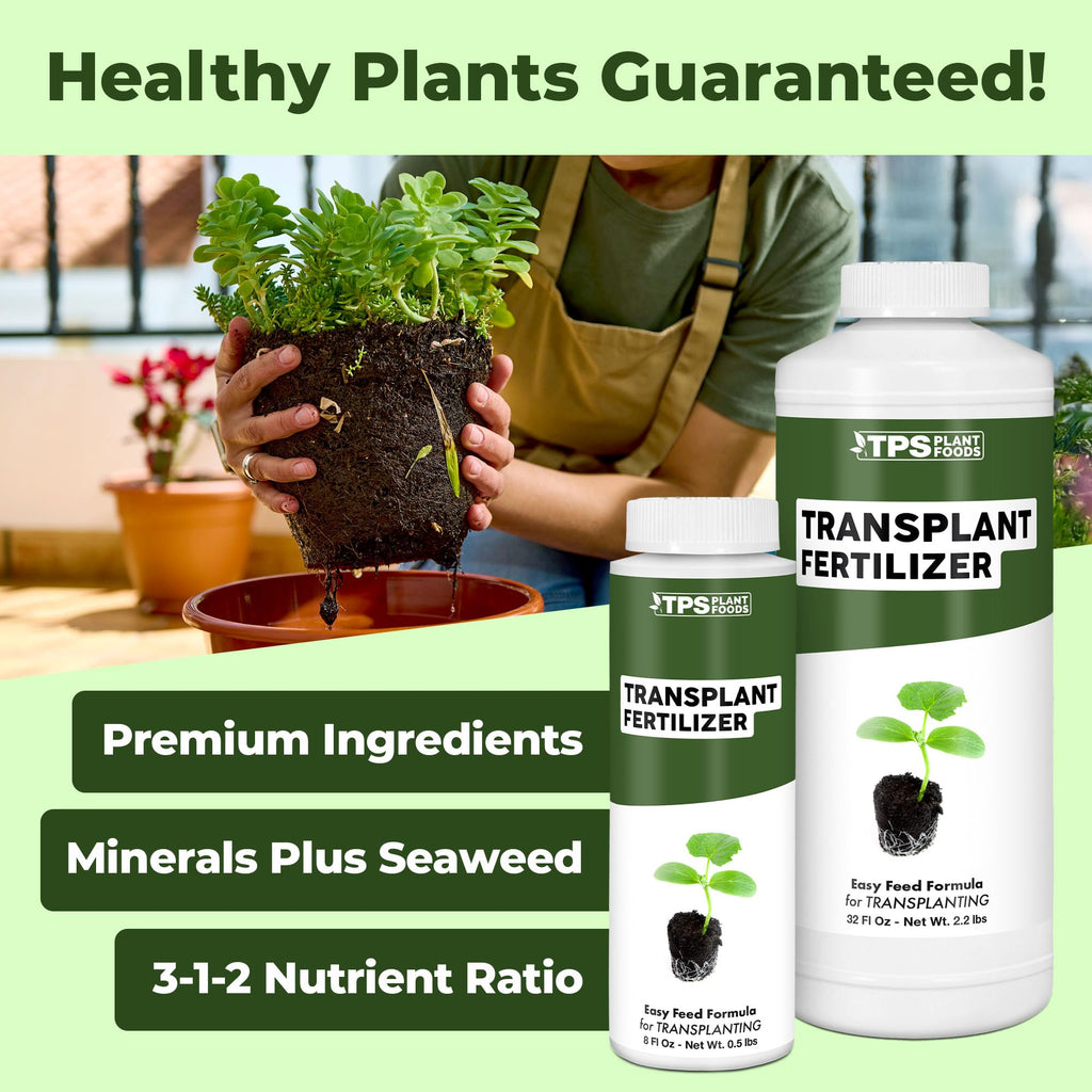 Liquid Plant Food 8 oz L832