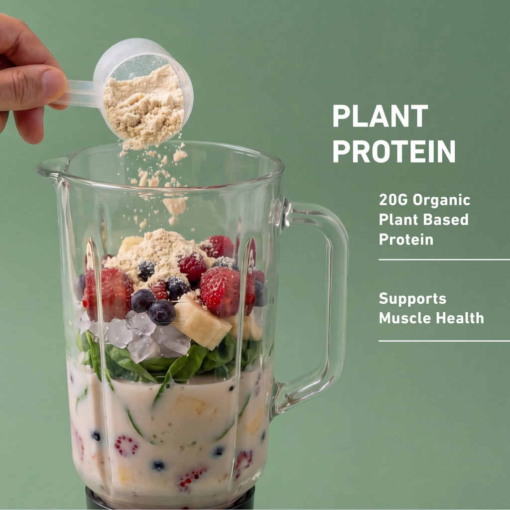 Plant-Based Protein Powder 20g Pea and Rice Protein Unflavored 20 Servings I266