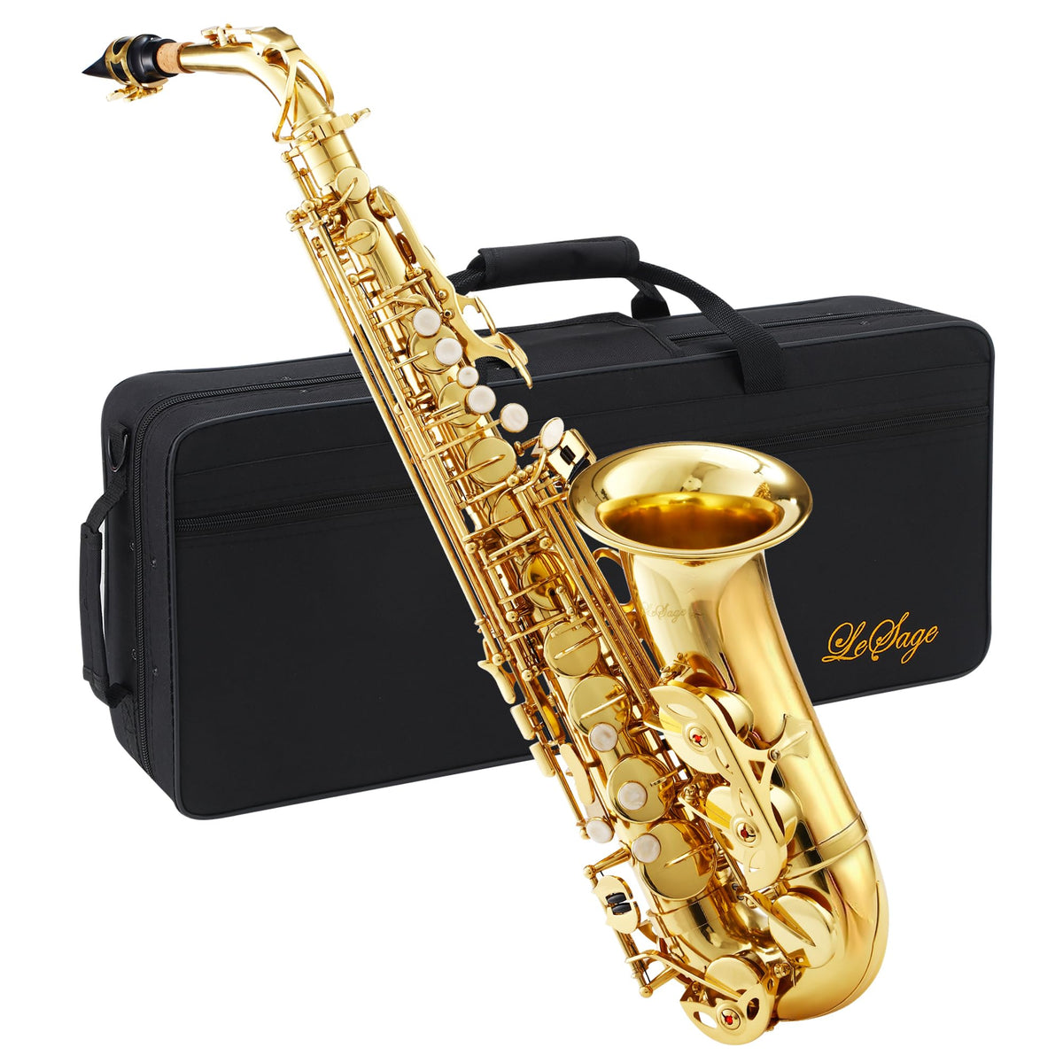 Alto Saxophone E Flat Starter Kit Gold A476
