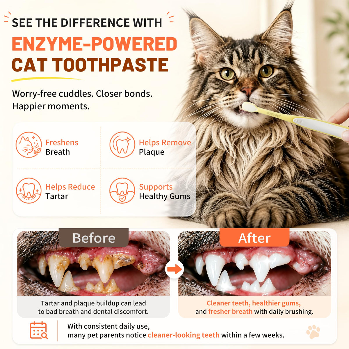 55g Roasted Chicken Enzymatic Cat Tooth Brushing Kit with Soft Bristles Toothbrush & Finger Brush P13569