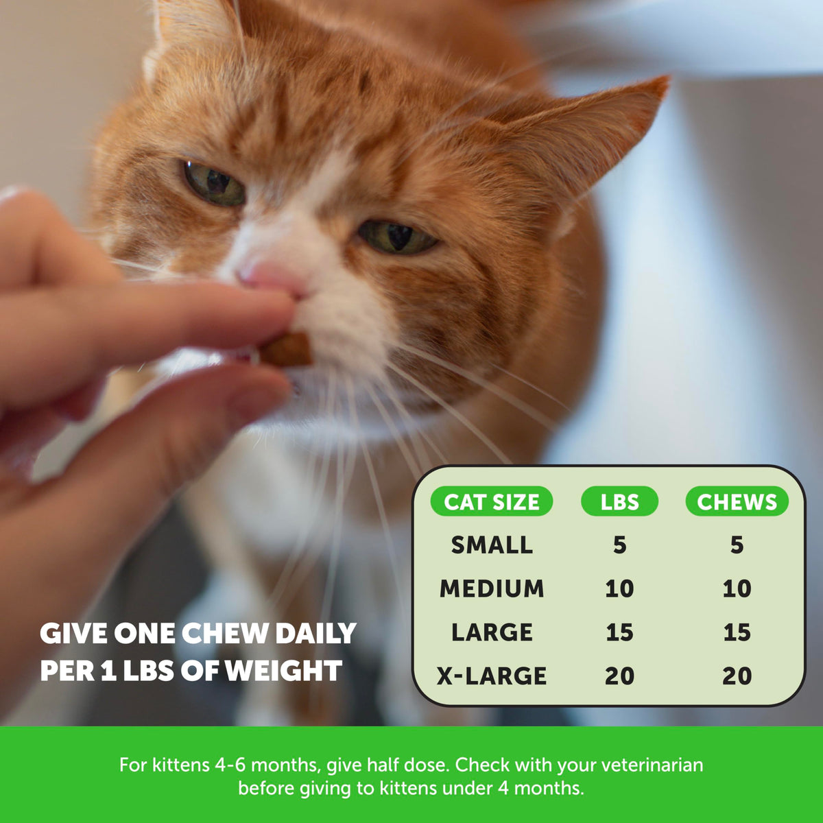 Chicken Cat Hairball Remedy Chews Y86206