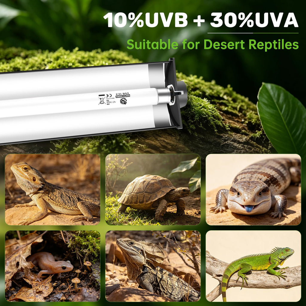8W 10.0 UVA UVB Reptile Light Fixture X484