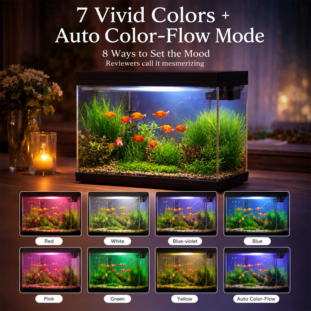 2.4 Gallon Desktop Betta Fish Tank Starter Kit V9861