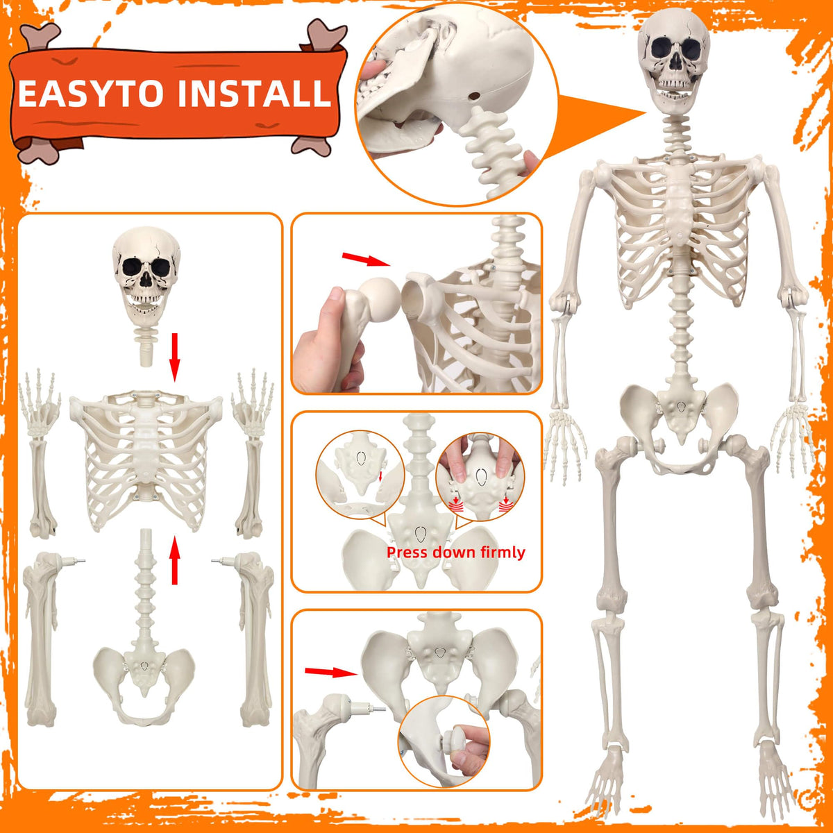 5.4Ft Movable Joints Plastic Skeleton Q269496