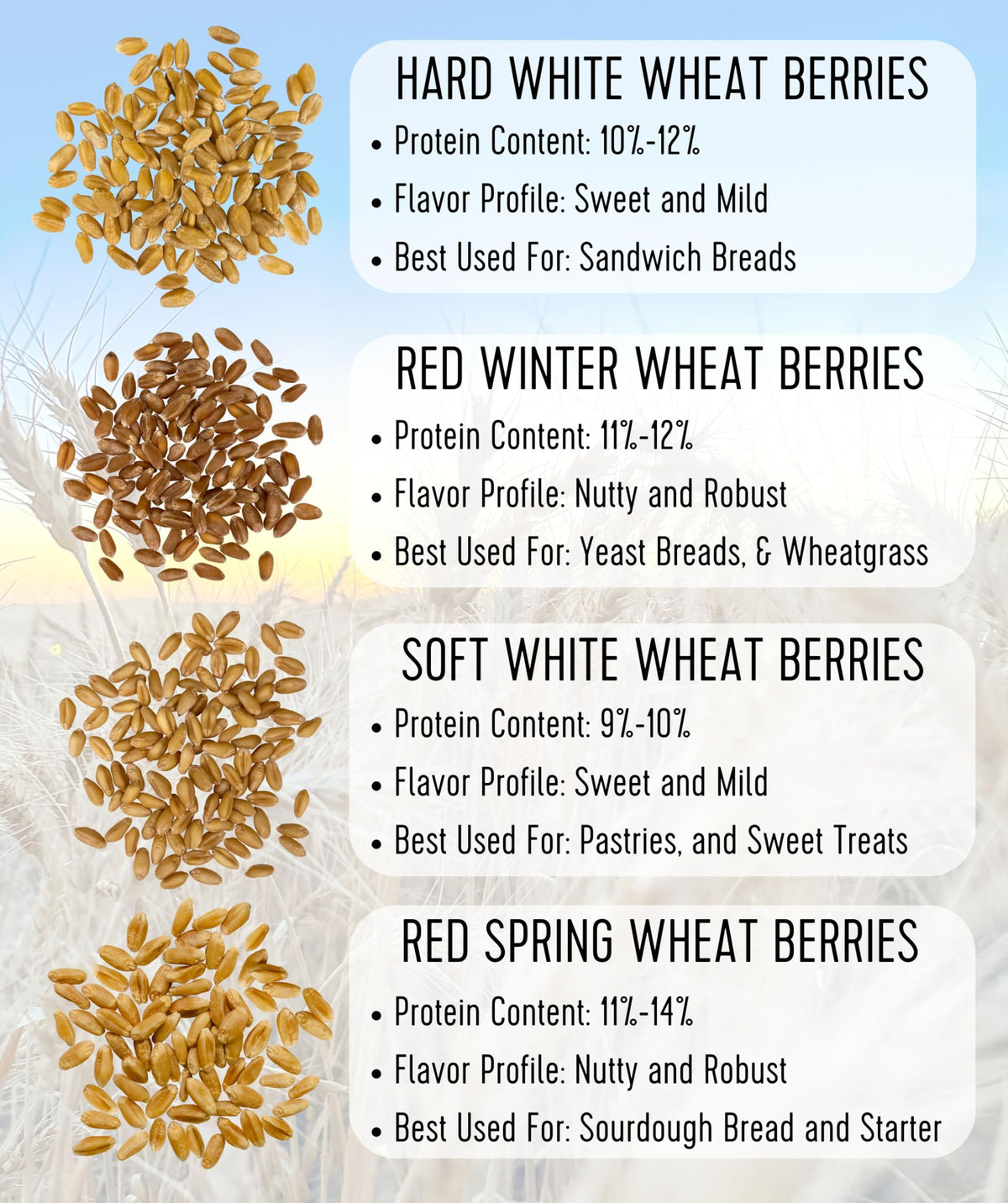 Hard Red Spring Wheat Berries 25 LBS Bag C6903