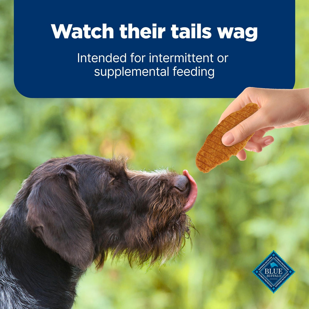 Chicken Dog Treats 16 oz R426