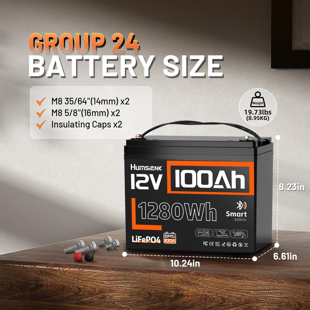 12V 100Ah LiFePO4 Lithium Battery with Bluetooth R589943