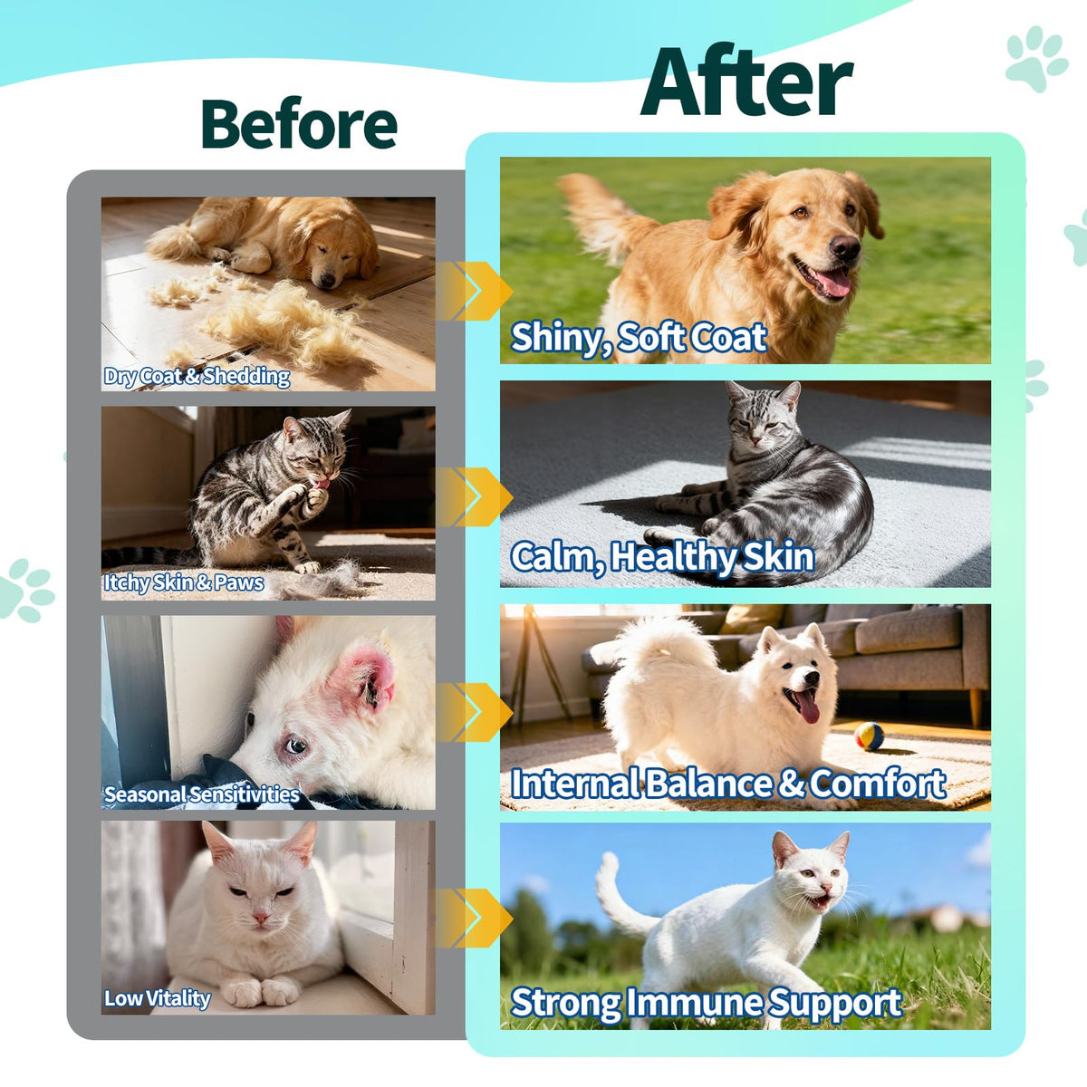 Flea and Tick Prevention for Dogs & Cats N5210