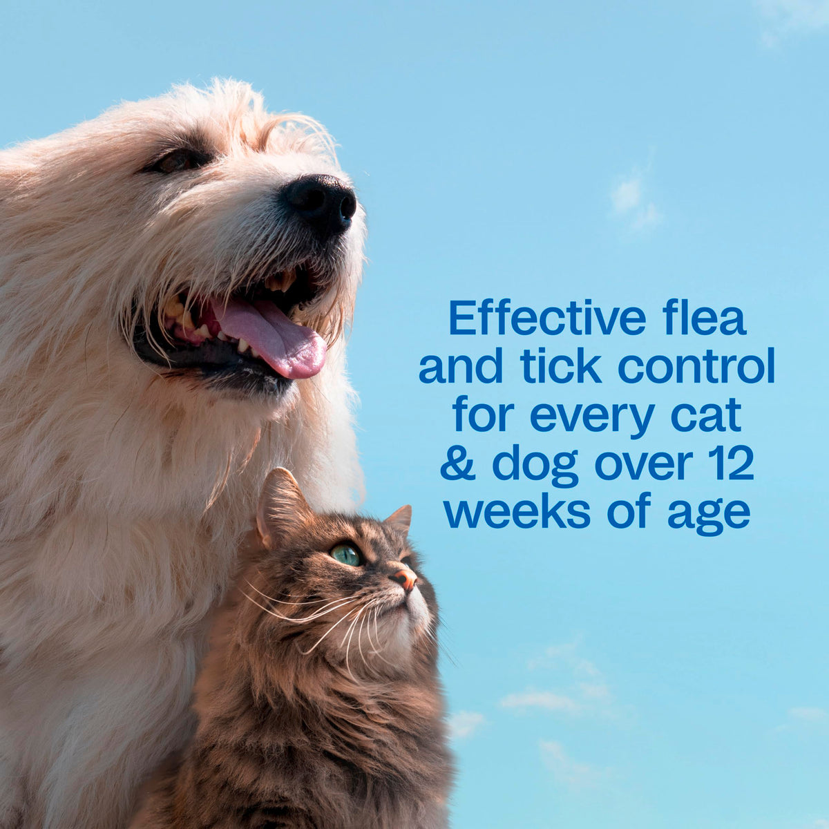 Flea & Tick Shampoo for Dogs 24 Ounces H2994